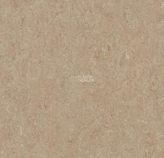 Forbo Marmoleum Marbled Terra 5803-580335 weathered sand фото 1 | FLOORDEALER